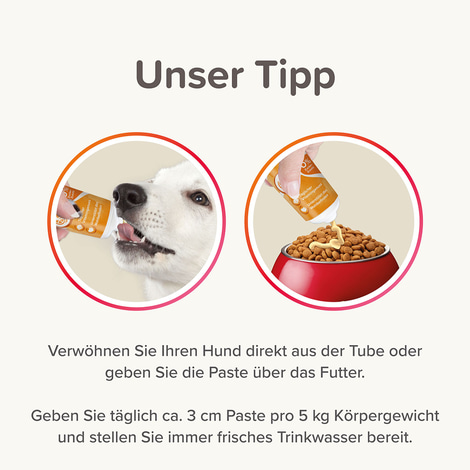 beaphar Multi-Vitamin-Paste für Hunde 250g