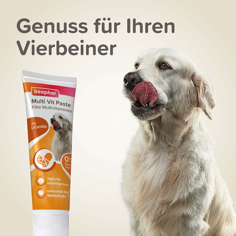 beaphar Multi-Vitamin-Paste für Hunde 250g