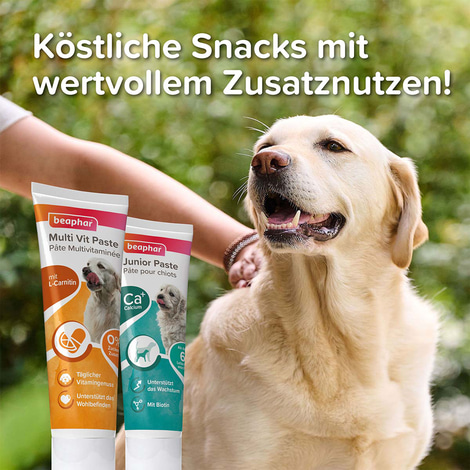 beaphar Multi-Vitamin-Paste für Hunde 250g