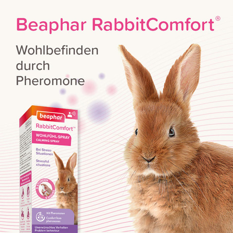 beaphar RabbitComfort Wohlfühl-Spray 30ml