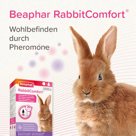beaphar RabbitComfort Verdampfer & Flakon 48ml