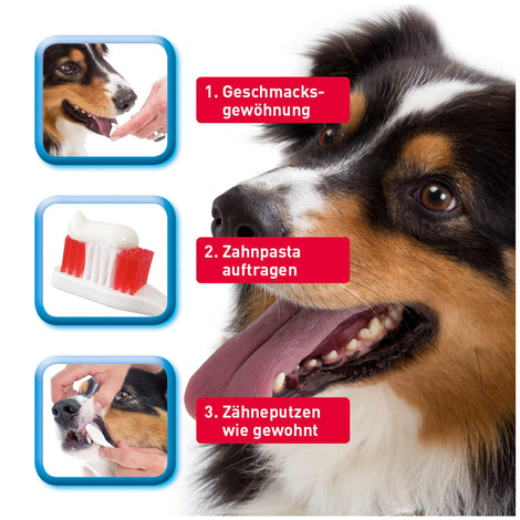 beaphar Zahnbürste für Hunde und Katzen