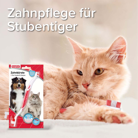 beaphar Zahnbürste für Hunde und Katzen