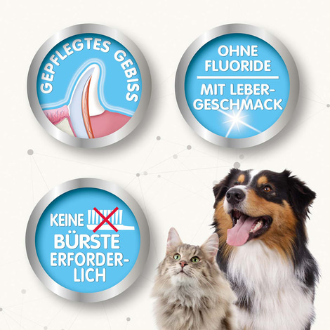 beaphar Zahngel für Hunde und Katzen 100g