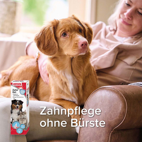 beaphar Zahngel für Hunde und Katzen 100g