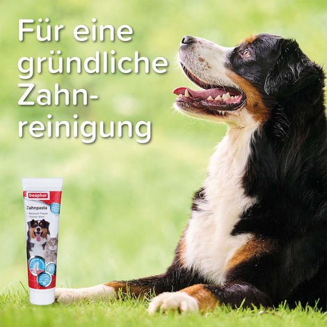 beaphar Zahnpasta für Hunde 100g