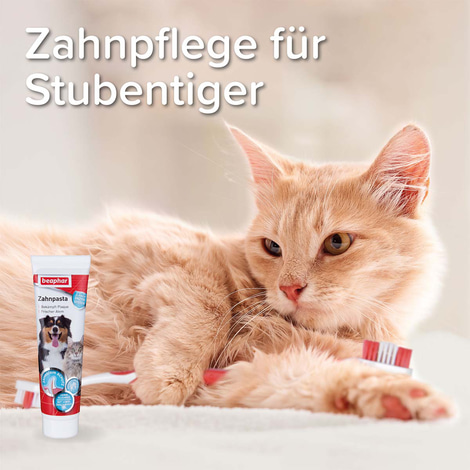 beaphar Zahnpasta für Hunde 100g