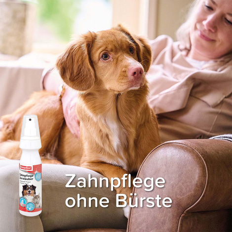 beaphar Zahnpflege für Hunde und Katzen im Zerstäuber 150ml