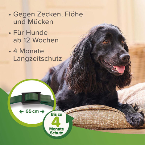 beaphar Zecken- und Flohschutz Halsband für Hunde 65cm