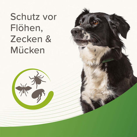 beaphar Zecken- und Flohschutz Halsband für Hunde 65cm