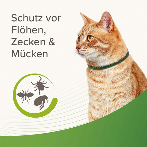 beaphar Zecken- und Flohschutz Halsband für Katzen 35cm