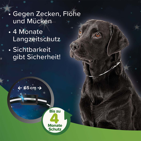 beaphar Zecken- und Flohschutz Halsband reflektierend für Hunde 65cm