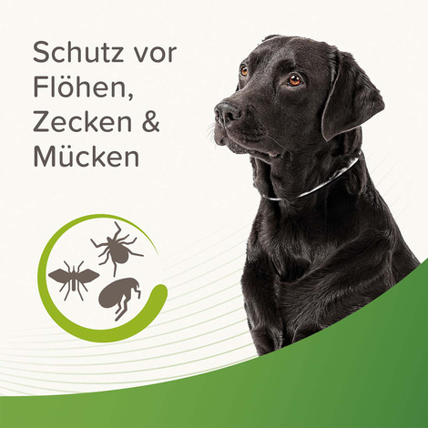 beaphar Zecken- und Flohschutz Halsband reflektierend für Hunde 65cm