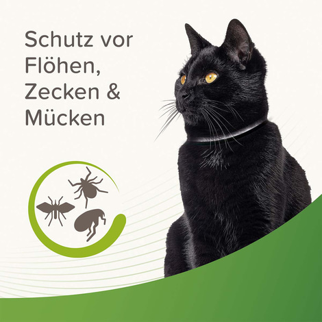 beaphar Zecken- und Flohschutz Halsband reflektierend für Katze 35cm