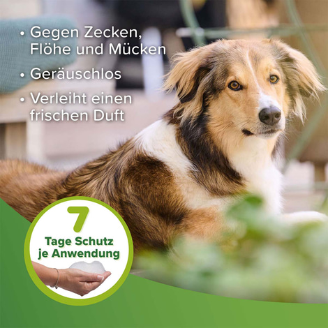 beaphar Zecken- und Flohschutz Shampoo 250ml