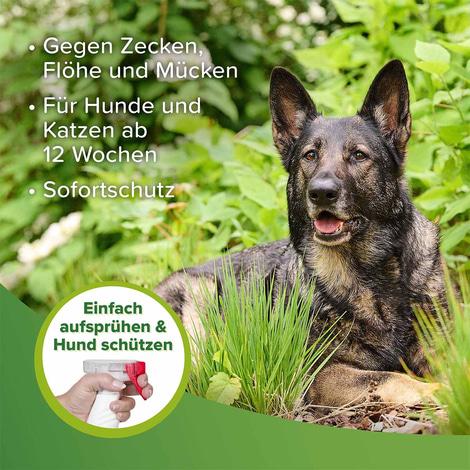 Beaphar Zecken- und Flohschutz Spray 400ml