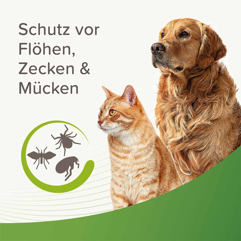 Beaphar Zecken- und Flohschutz Spray 3x400ml