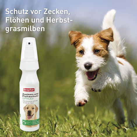 beaphar Zecken- und Flohschutz Spray für Hunde 150ml