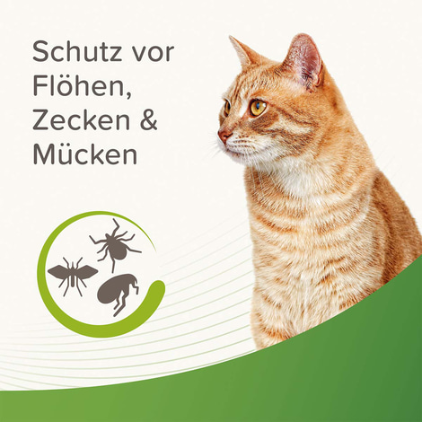 beaphar Zecken- und Flohschutz Spray für Katzen 150ml