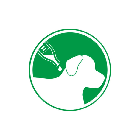 beaphar Spot On Tropfen für kleine Hunde + Zeckenstift gratis