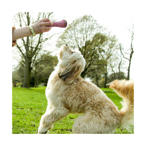 Beco Pets Hundespielzeug Beco Bone pink