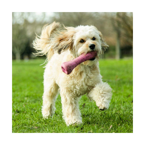 Beco Pets Hundespielzeug Beco Bone pink