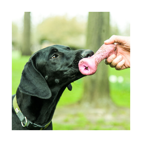 Beco Pets Hundespielzeug Beco Bone pink