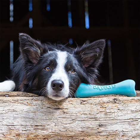 Beco Pets Hundespielzeug Beco Bone Grün