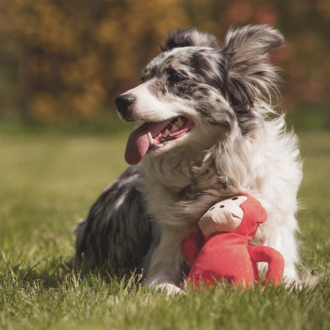 Beco Pets Kuschelspielzeug Affe