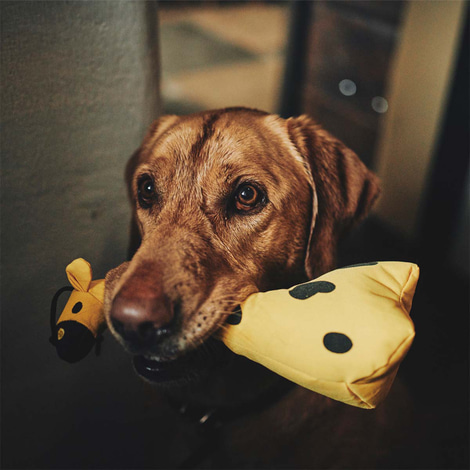 Beco Pets Kuschelspielzeug Giraffe