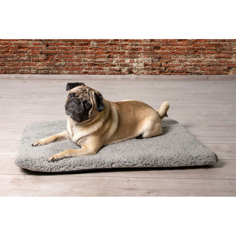 Beeztees orthopädisches Memory Foam Hundekissen Ito