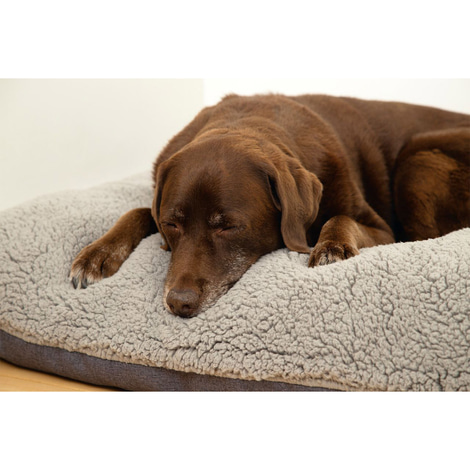 Beeztees orthopädisches Memory Foam Lounge Hundekissen Ruba 100 x 70 cm