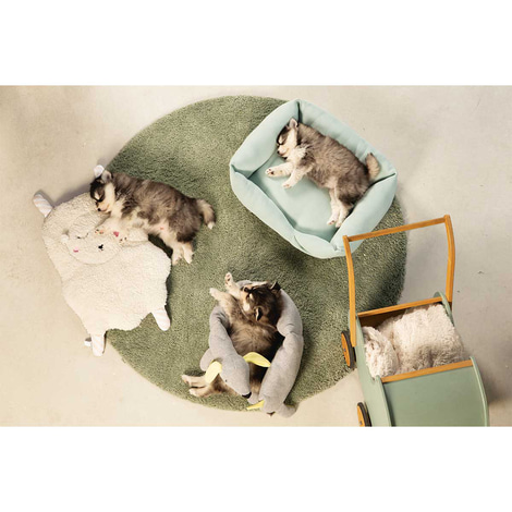 beeztees Puppy Dufttuch für Welpen