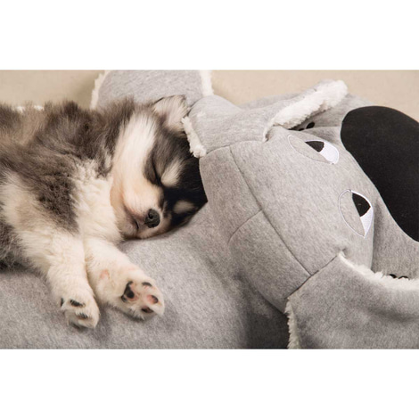 beeztees Puppy XL-Kuschelspielzeug Boomba