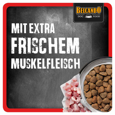 Belcando active - Die besten Belcando active im Vergleich