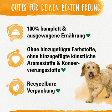 Beneful Tasty Grain Free getreidefrei Huhn