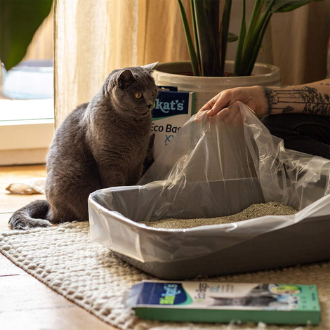 Biokat's Eco Bags XXL 12 Stück