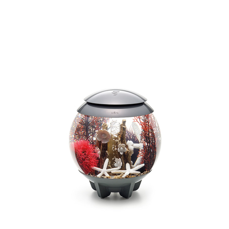 biOrb Decor Set 15L
