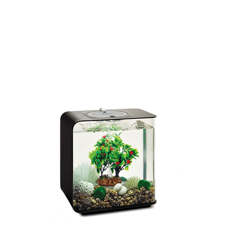 biOrb Decor Set Jahreszeiten 15L