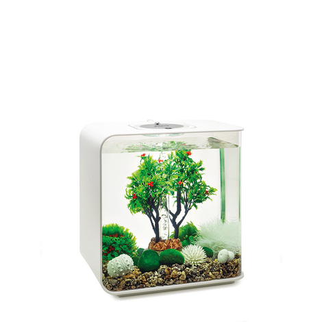 biOrb Decor Set Jahreszeiten 30L