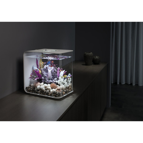 biOrb FLOW 30 LED weiß