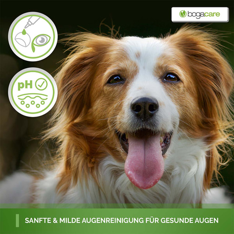 bogacare Perfect Eye Cleaner Hund 100 ml