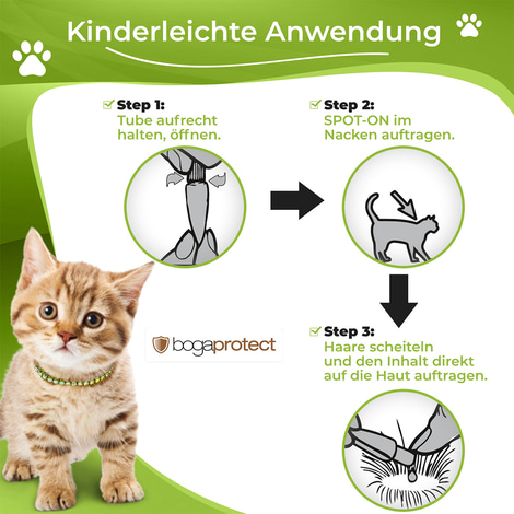 bogaprotect Spot-On Katze