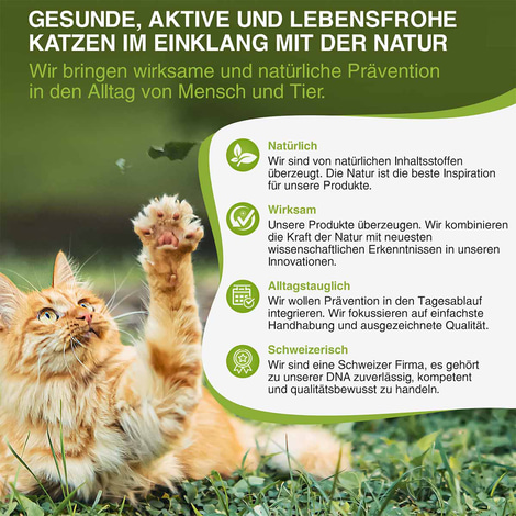 bogaprotect Spot-On Katze