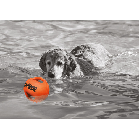 Bomber Hundespielzeug orange