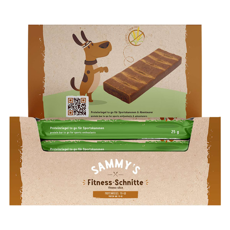 Sammy´s Fitness-Schnitte mit Äpfel & Blaubeeren