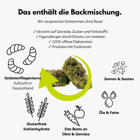 BugMischung Adult gelb Banane & Chiasamen