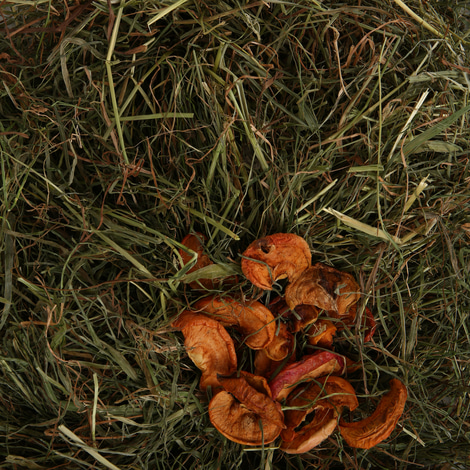Bunny Allgäuer FrischGras Heu mit Apfel 500g