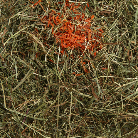 Bunny Allgäuer FrischGras Heu mit Karotte 500g