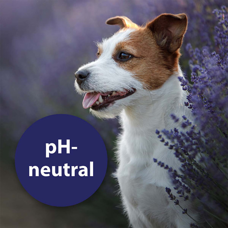 Canosept Augenpflege für Hunde 120ml